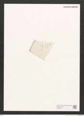Diatomeae indet. Zeichnungen Sammlung Grunow (NHMW-BOT-W0368427)
